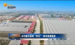 潍坊头条爆料高密新闻,潍坊头条最新爆料揭示热点事件